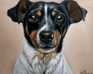 dog portrait by Sandra Harris