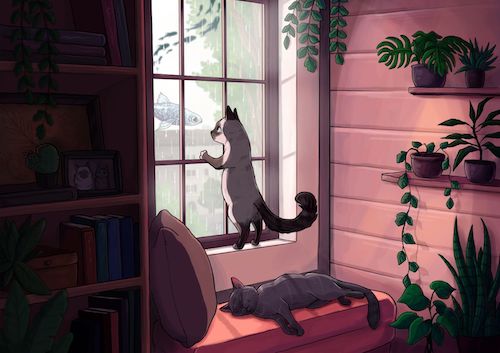 illustration of a cat in a window