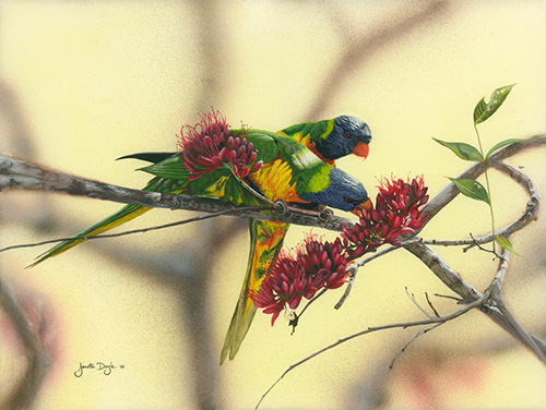 painting of Lorikeets by Janette Doyle